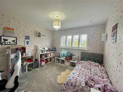 Picture 39